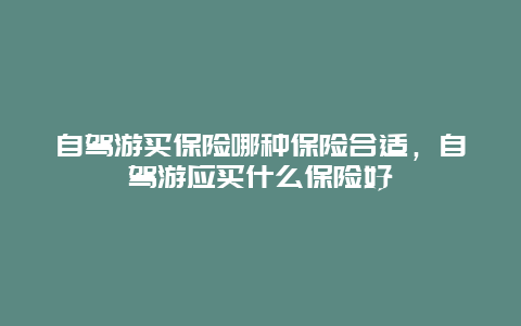 自驾游买保险哪种保险合适，自驾游应买什么保险好