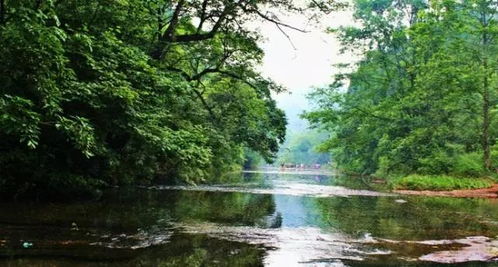 邛崃天台山旅游景点大全集
