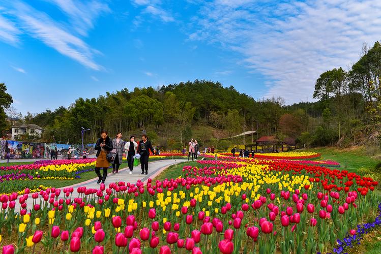 英山四季花海花香醉人，旅游经济蓬勃发展