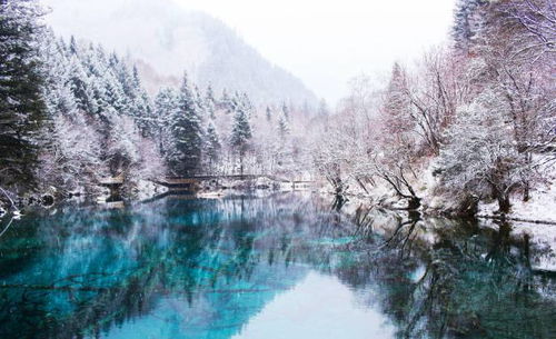 九寨沟旅游摄影作品