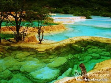 重庆到九寨沟旅游攻略自由行
