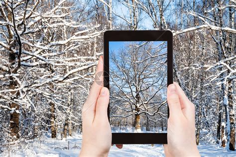 明日城市旅游攻略