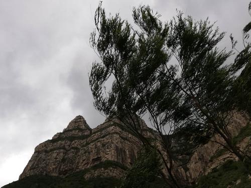 张家界旅游多少费用，张家界旅游大约费用多少？