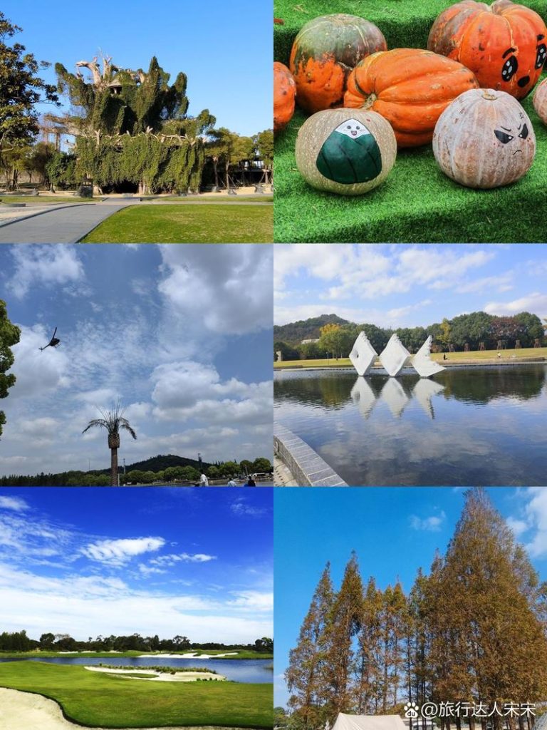 上海月湖雕塑公园门票，上海月湖雕塑公园门票优惠？