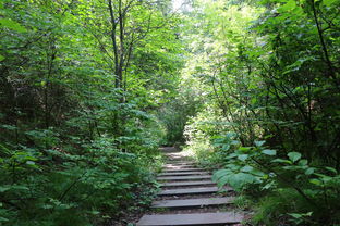 金丝峡周边游玩景点推荐