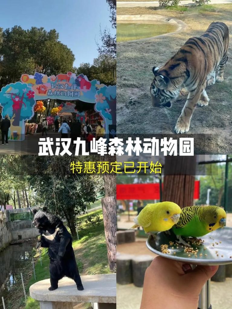 武汉哪个动物园比较好玩？武汉哪个动物园比较好玩儿？