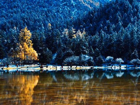 旅游摄影网论坛官网