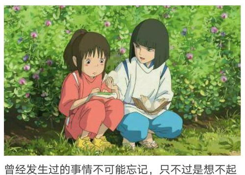 笑映云南天生活的绚烂画卷