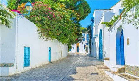 摩洛哥突尼斯最佳旅游季节