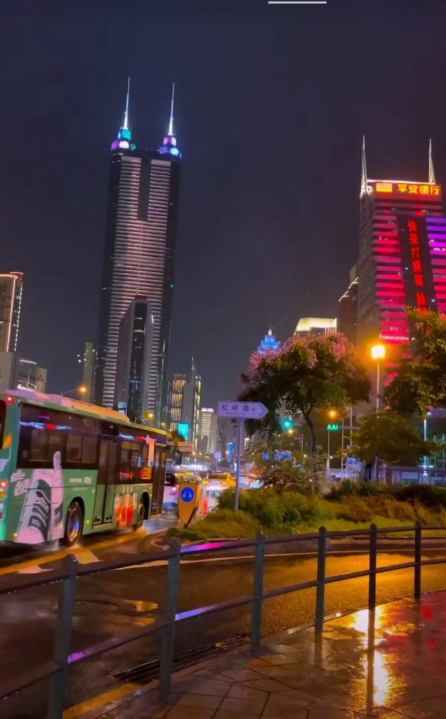 深圳最繁华的地方，深圳最繁华的地方夜景