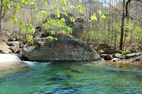 丹东五一旅游推荐路线