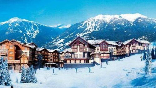 冬天去新疆旅游合适吗