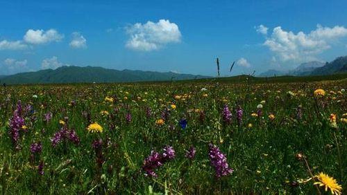 川内三日游旅游最佳景点工作汇报策略