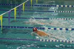 塞尔维亚运动员在美参加游泳赛身亡