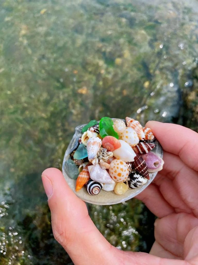 旅游海边适合卖什么东西