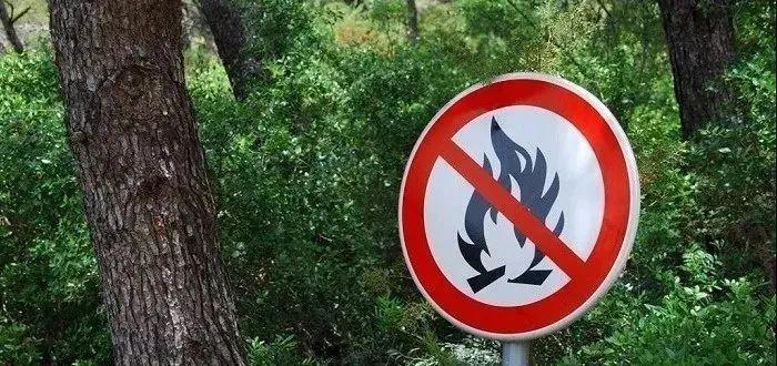 阳山一路段突发山火,还好有这群最美逆行者勇扑山火,致敬!