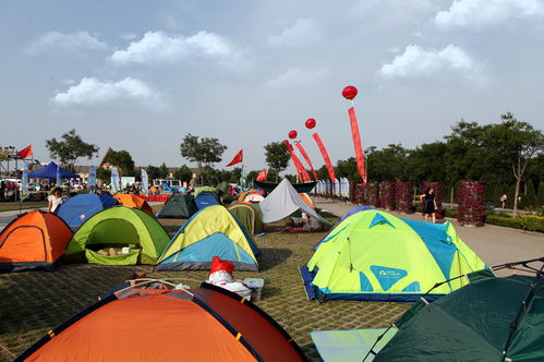 中国露营旅游论坛官网