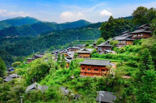 我为何放弃月薪1万的工作待在家,反倒让父母去扫大街