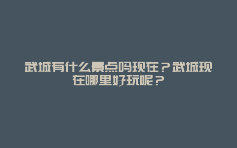 武城有什么景点吗现在？武城现在哪里好玩呢？