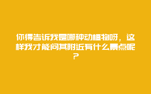 你得告诉我是哪种动植物呀，这样我才能问其附近有什么景点呢？