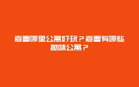 嘉善哪里公寓好玩？嘉善有哪些趣味公寓？