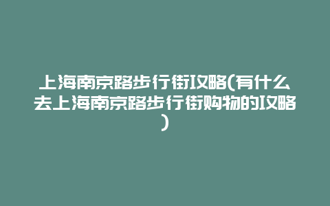 上海南京路步行街攻略(有什么去上海南京路步行街购物的攻略)