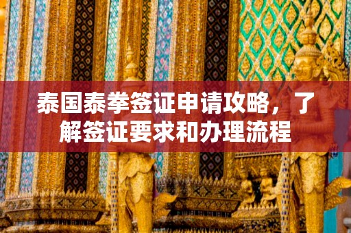 泰国泰拳签证申请攻略，了解签证要求和办理流程