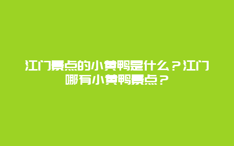 江门景点的小黄鸭是什么？江门哪有小黄鸭景点？