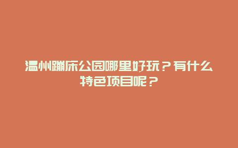 温州蹦床公园哪里好玩？有什么特色项目呢？