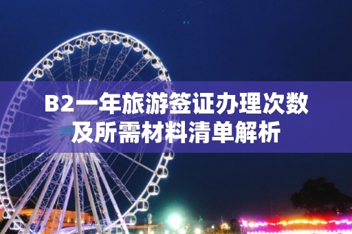 B2一年旅游签证办理次数及所需材料清单解析