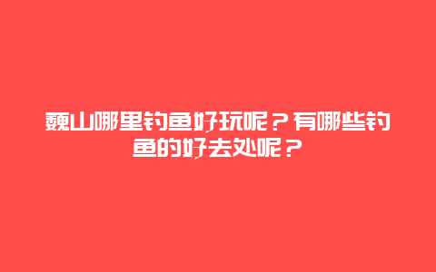 巍山哪里钓鱼好玩呢？有哪些钓鱼的好去处呢？