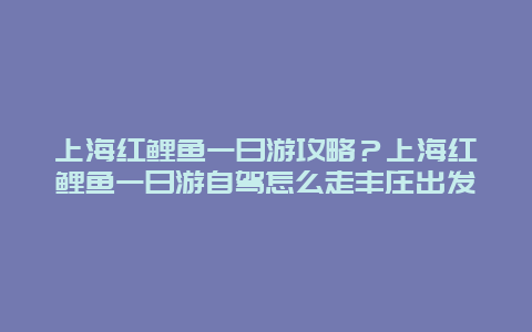 上海红鲤鱼一日游攻略？上海红鲤鱼一日游自驾怎么走丰庄出发