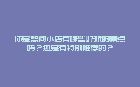 你是想问小店有哪些好玩的景点吗？还是有特别推荐的？