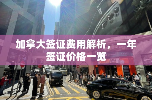 加拿大签证费用解析，一年签证价格一览