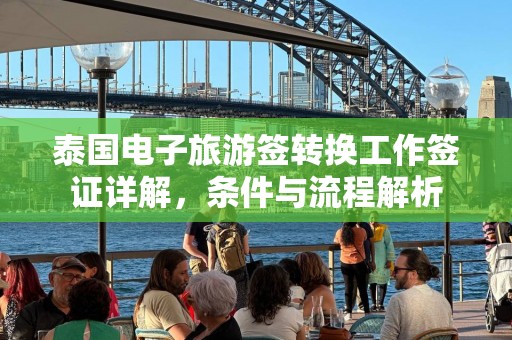 泰国电子旅游签转换工作签证详解，条件与流程解析