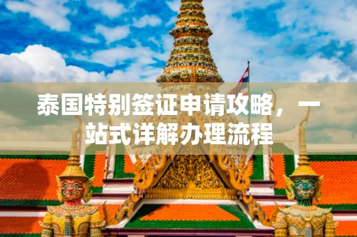 泰国特别签证申请攻略，一站式详解办理流程