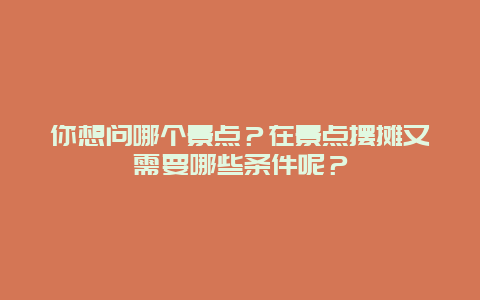 你想问哪个景点？在景点摆摊又需要哪些条件呢？