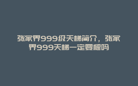 张家界999级天梯简介，张家界999天梯一定要爬吗