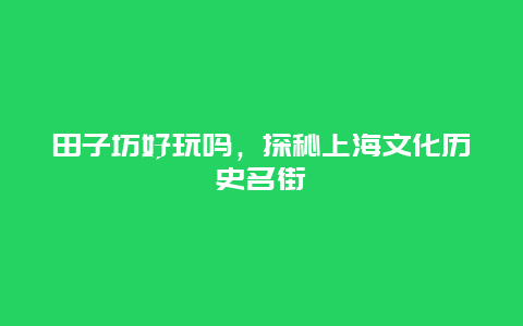 田子坊好玩吗，探秘上海文化历史名街