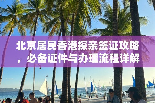 北京居民香港探亲签证攻略，必备证件与办理流程详解