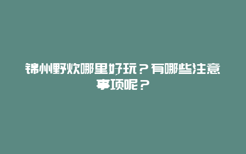 锦州野炊哪里好玩？有哪些注意事项呢？