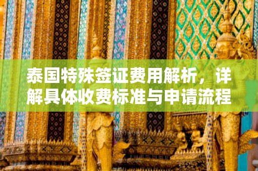 泰国特殊签证费用解析，详解具体收费标准与申请流程