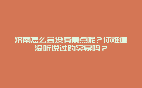济南怎么会没有景点呢？你难道没听说过趵突泉吗？