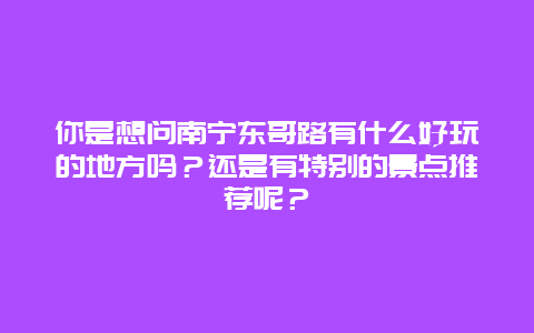 你是想问南宁东哥路有什么好玩的地方吗？还是有特别的景点推荐呢？