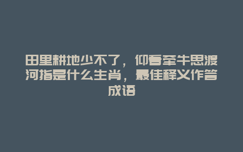 田里耕地少不了，仰看牵牛思渡河指是什么生肖，最佳释义作答成语