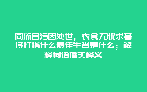 同流合污因处世，衣食无忧求奢侈打指什么最佳生肖是什么；解释词语落实释义