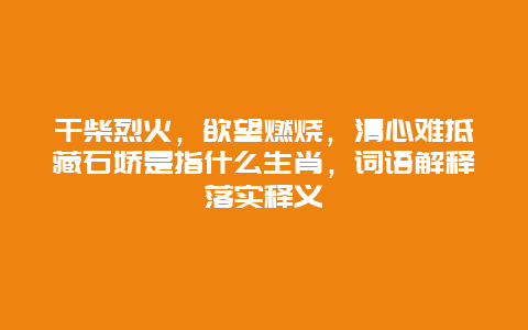 干柴烈火，欲望燃烧，清心难抵藏石娇是指什么生肖，词语解释落实释义