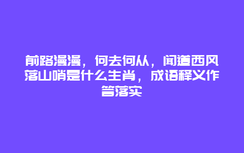 前路漫漫，何去何从，闻道西风落山哨是什么生肖，成语释义作答落实