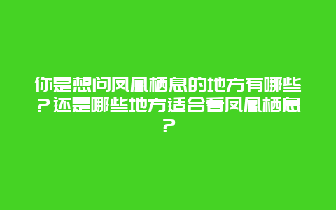 你是想问凤凰栖息的地方有哪些？还是哪些地方适合看凤凰栖息？
