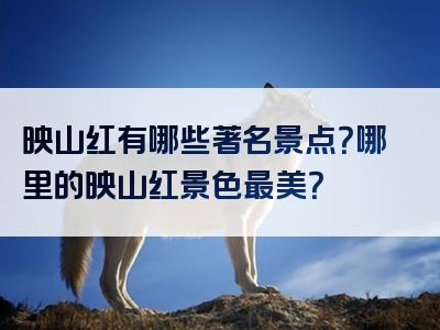 映山红有哪些著名景点？哪里的映山红景色最美？